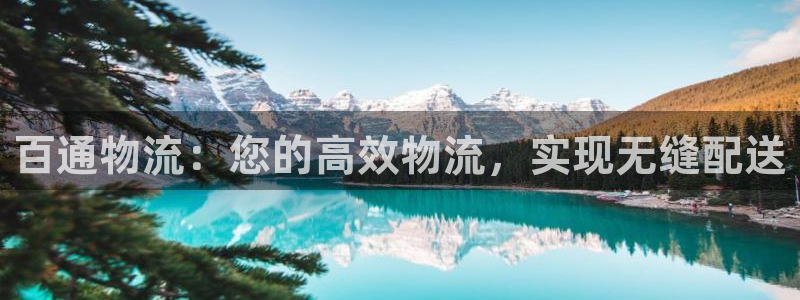 28圈登录用户名登录不上：百通物流：