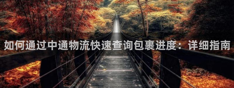 28圈注册网站多少：如何通过中通物流