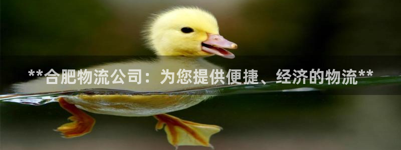 28圈.ccmo