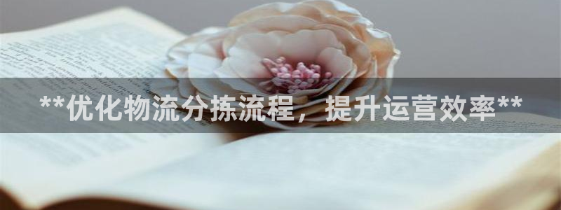 28圈充值：**优化物流分拣流程，提