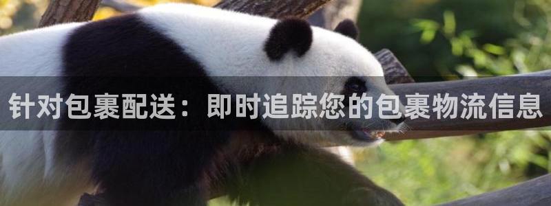 28圈平台注册：针对包裹配送：即时追
