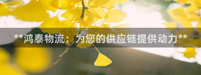 28圈链官网：**鸿泰物流：为您的供