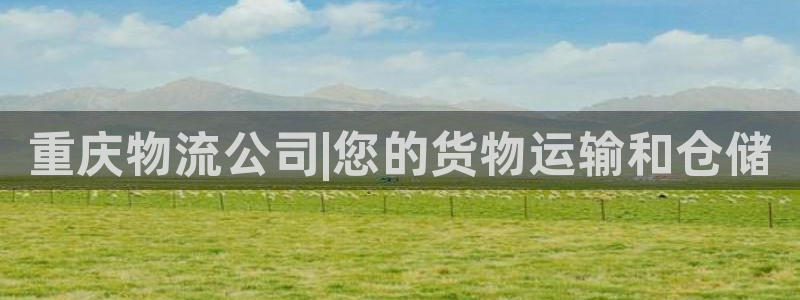 28圈取保：重庆物流公司|您的货物运