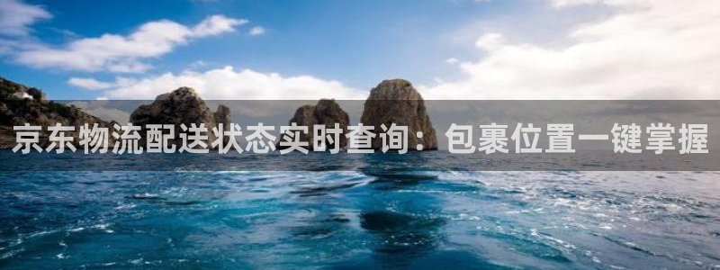 28圈链官网：京东物流配送状态实时查