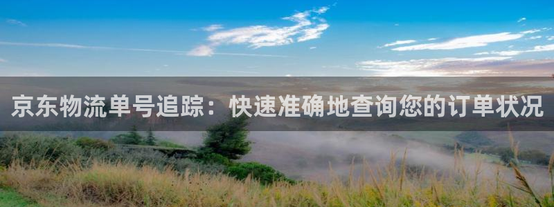 28圈加拿大2.8预测在线预测：京东