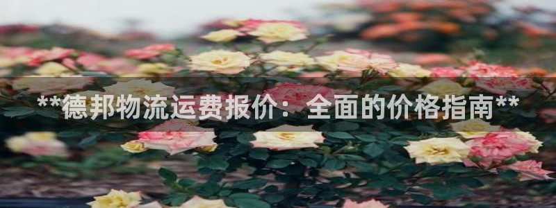 28圈取保