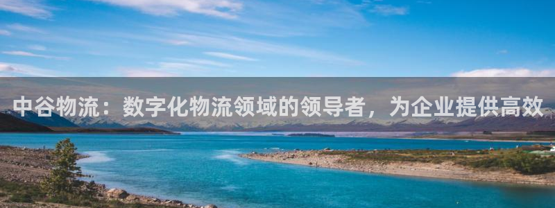 28圈加拿大开奖：中谷物流：数字化物