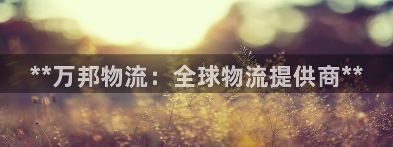 28圈官网预测：**万邦物流：全球物