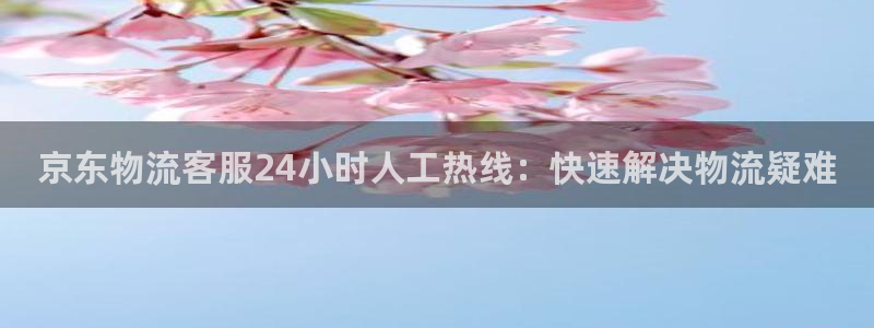 28圈取保