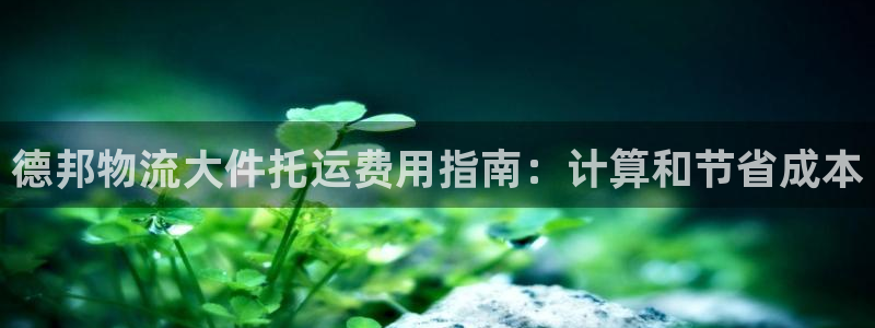 28圈加拿大在线预测：德邦物流大件托