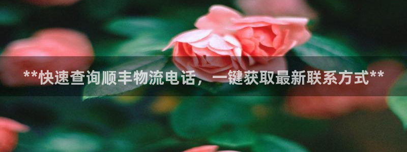 28圈官方网站：**快速查询顺丰物流