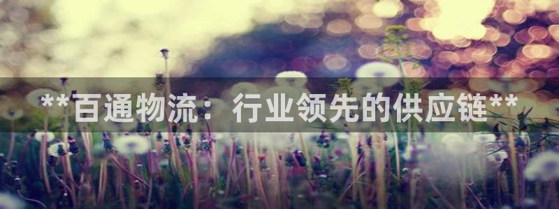 28圈注册网站多少钱：**百通物流：