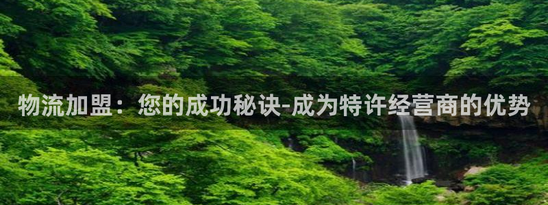 28圈取保：物流加盟：您的成功秘诀-