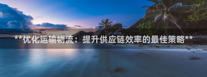 28圈选28ng官网：**优化运输物