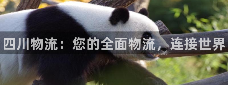 28圈注册网站多少钱：四川物流：您的