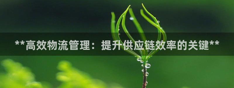 加拿大28圈注册链接：**高效物流管