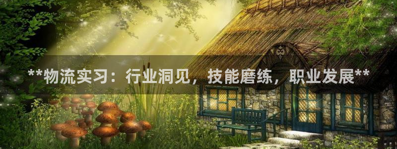 28圈：**物流实习：行业洞见，技能