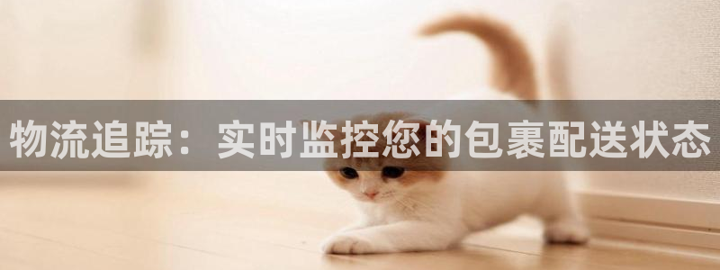 28圈注册链接：物流追踪：实时监控您