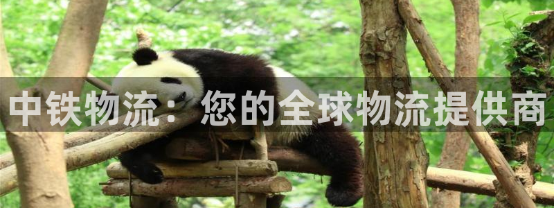 28圈在线预测