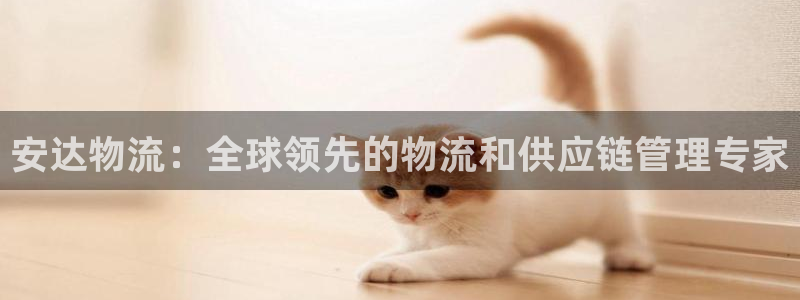 28圈v6能卖多少
