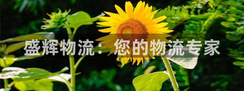 28圈和南宫28什么关系