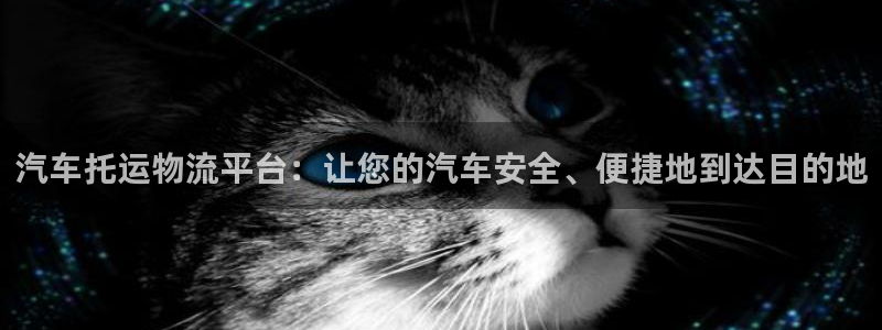 28圈登录不上咋回事：汽车托运物流平