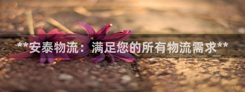 28圈官网注册：**安泰物流：满足您