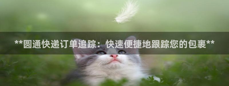 28圈.ccmo