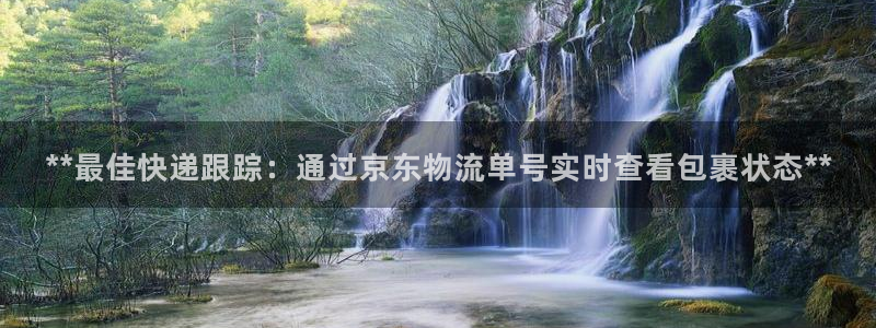 加拿大28圈注册链接：**最佳快递跟