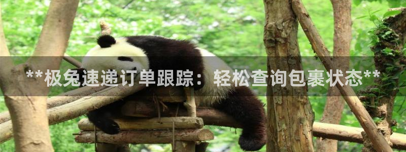 28圈加拿大怎么玩