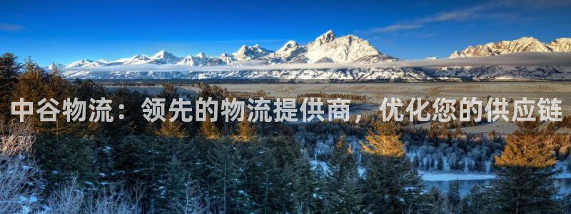 28圈游戏链接