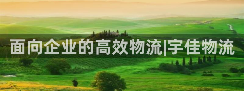 28圈官网预测