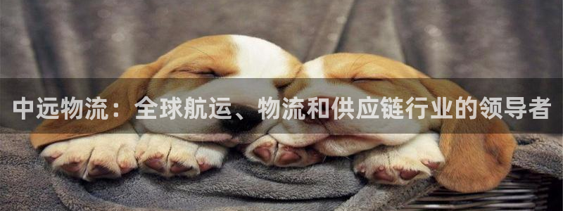 28圈注册网页：中远物流：全球航运、
