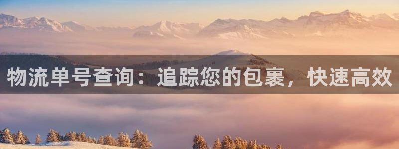 28圈女王中奖记录查询