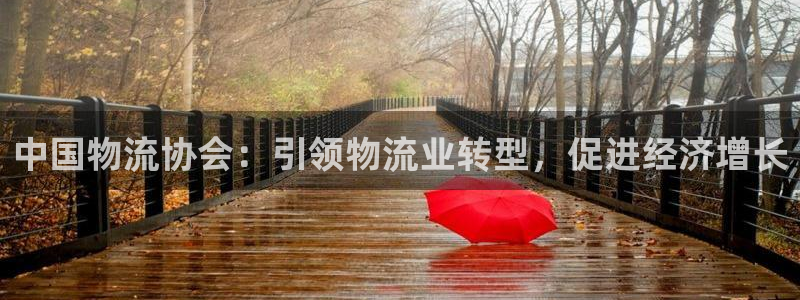28圈怎么下载不了