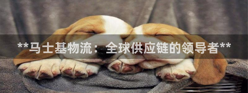28圈预测加拿大