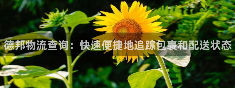 28圈ccm官网版