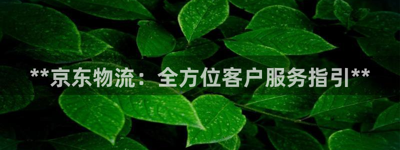 加拿大28圈注册链接：**京东物流：