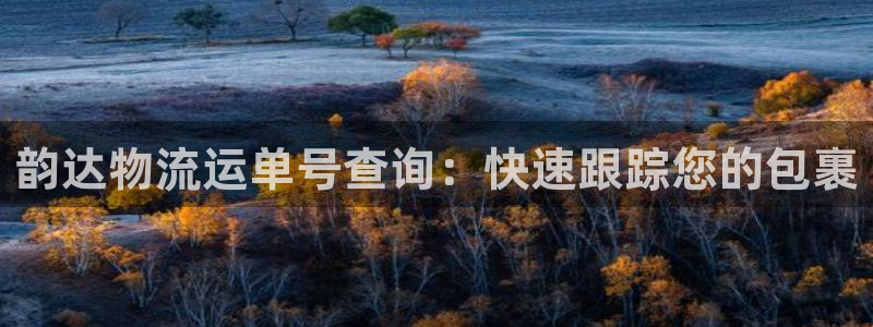 28圈充值不到账什么原因