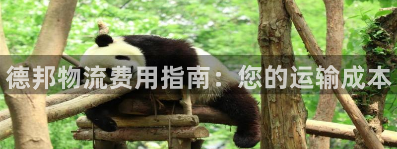 28圈黑款