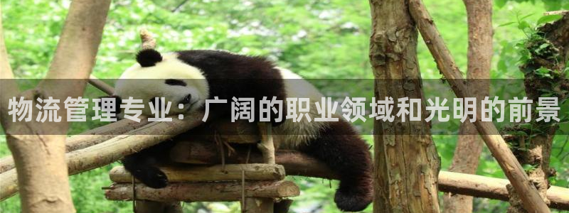 28圈圈助手