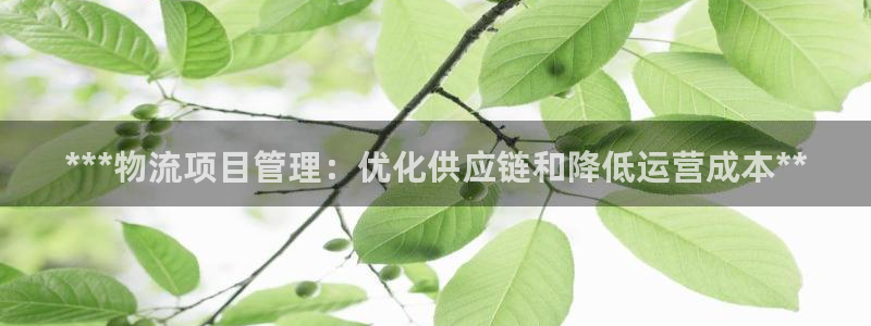 28圈推广链接是多少个