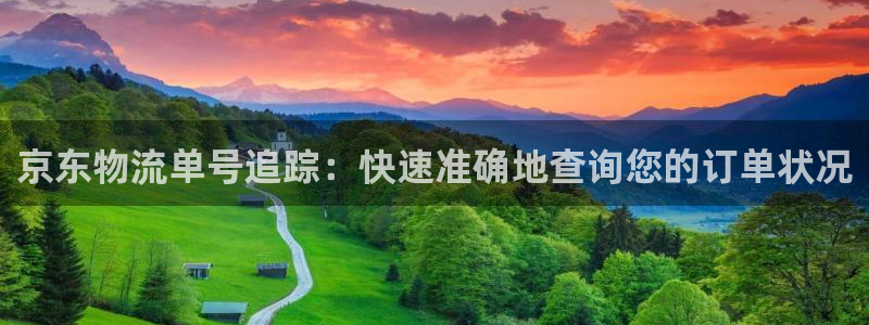 28圈是什么软件