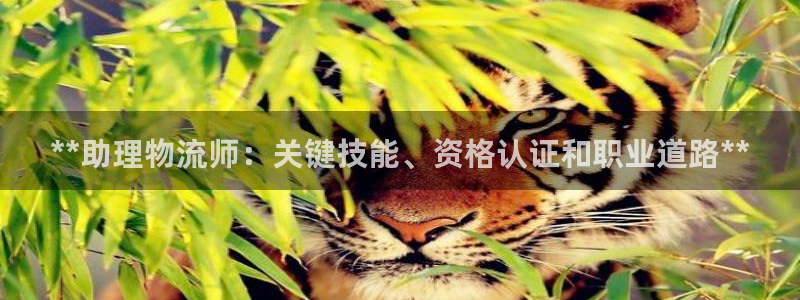 28圈注册登录链接：**助理物流师：