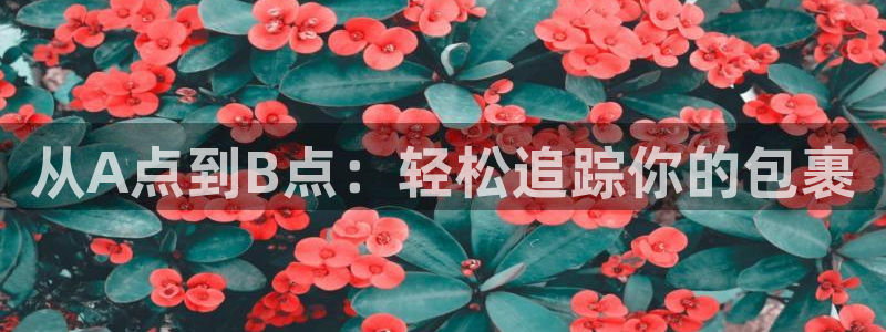 28圈pg麻将胡了
