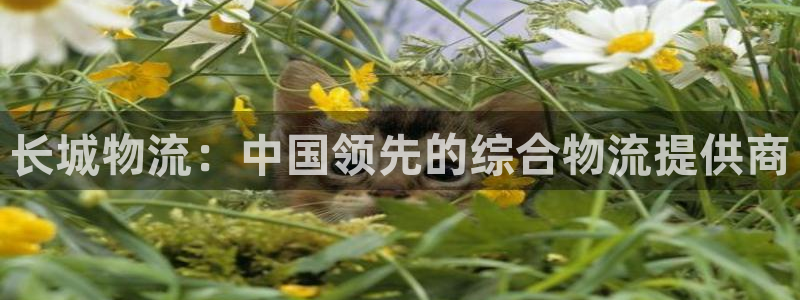 28圈为什么打不开