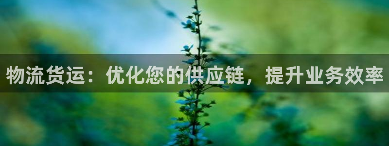 28圈链接是什么：物流货运：优化您的