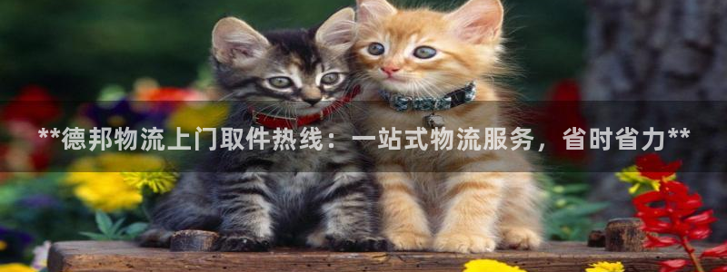 28圈注册网页：**德邦物流上门取件