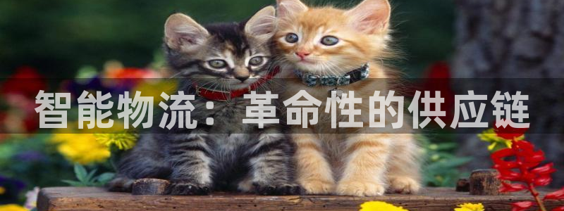 28圈登录网：智能物流：革命性的供应