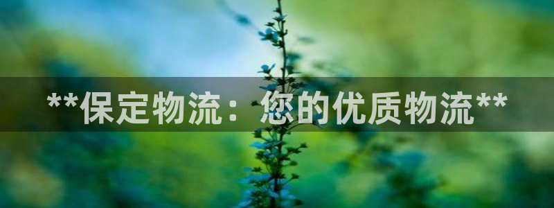 28圈黑钱